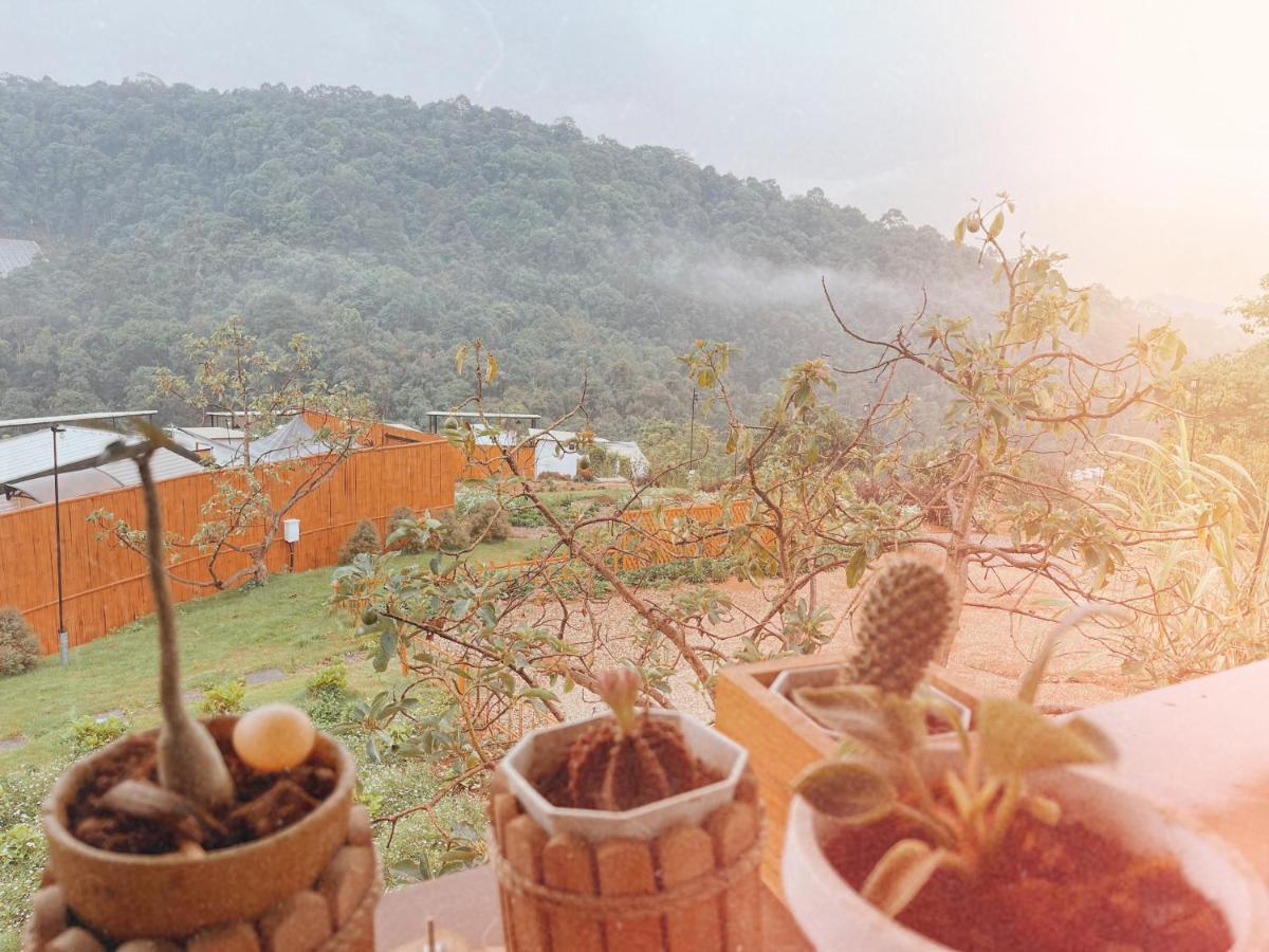 Phu Morinn Camping ม่อนแจ่ม Mon Jam Exterior foto